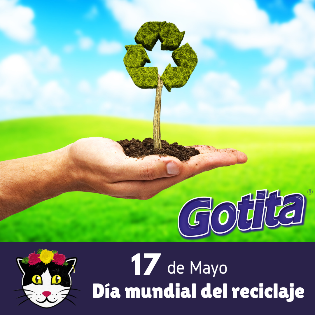 Día Mundial del Reciclaje